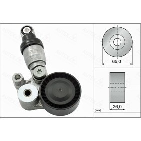 Comprar Tensor de correa poli V de AUTEX 655131 a bajo precio de 81,14 €