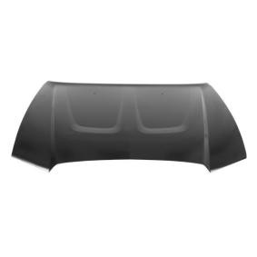 Achetez des Capot BLIC 6803-00-0932280P à prix pour 201,79 €