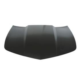 Motorhaube 6803-00-1189280P