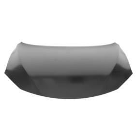 Motorhaube 6803-00-1603280P