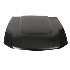 Motorhaube 6803-00-2585281P