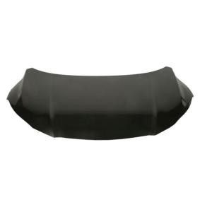 Motorhaube 6803-00-2950280P