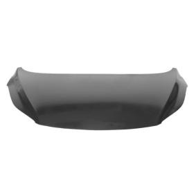 Motorhaube 6803-00-3171280P
