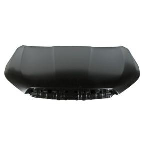 Motorhaube 6803-00-6738281P