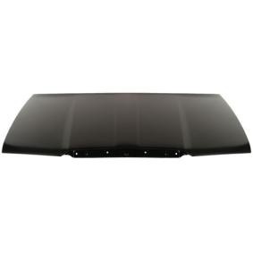 Motorhaube 6803-00-7520280Q