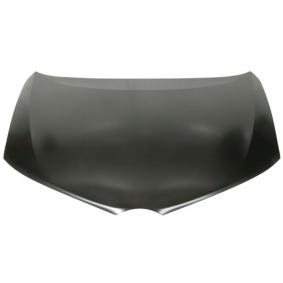 Motorhaube 6803-00-8118282P
