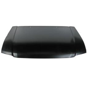 Motorhaube 6803-00-8135280P
