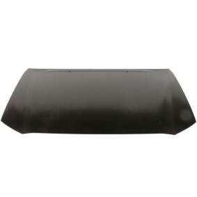 Motorhaube 6803-00-8172281P