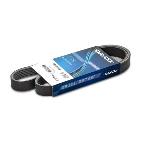 Compre Correia trapezoidal estriada da DAYCO 6PK1041PM a um preço baixo por 14,83 €
