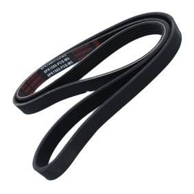 Compre Correia trapezoidal estriada da MASTER-SPORT 6PK1560-PCS-MS a um preço baixo por 18,58 €