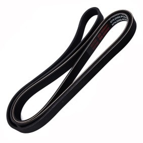 Keilrippenriemen 6PK2055-PCS-MS von MASTER-SPORT günstig für 17,12 € online kaufen