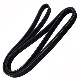 Keilrippenriemen 6PK2120-PCS-MS von MASTER-SPORT günstig für 18,50 € online kaufen
