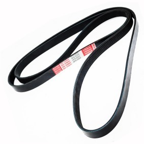 Keilrippenriemen 6PK2225-PCS-MS von MASTER-SPORT günstig für 23,64 € online kaufen