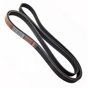 Achetez des Courroie Poly-V MASTER-SPORT 6PK2460-PCS-MS à prix pour 16,52 €