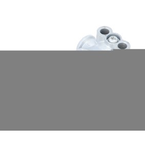 Køb Møtrik, drivaksel af DT Spare Parts 7.38517 til den lave pris 139,26 DKK