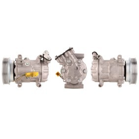 Acquista Compressore aria condizionata da DRI 700510226 a buon mercato per soli 192,62 €