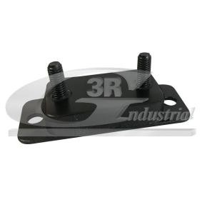 Halter, Abgasanlage von 3RG