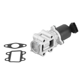 Achetez des Vanne EGR WAHLER 710934R à prix pour 210,20 €