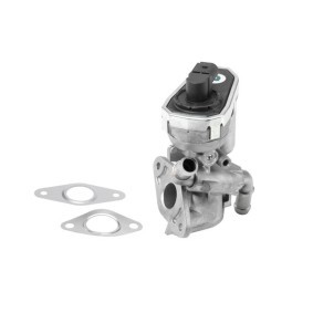 Achetez des Vanne EGR WAHLER 710941R à prix pour 200,13 €