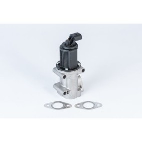 Achetez des Vanne EGR WAHLER 710952R à prix pour 117,74 €