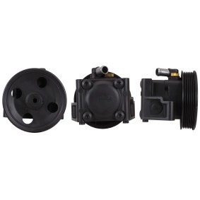 Servopumpe 715520438 von DRI günstig für 132,78 € online kaufen