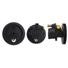 Servopumpe 715520594 von DRI günstig für 143,70 € online kaufen