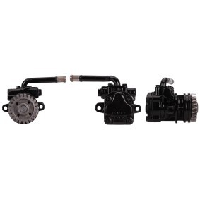 Achetez des Pompe de direction assistée DRI 715520660 à prix pour 255,43 €