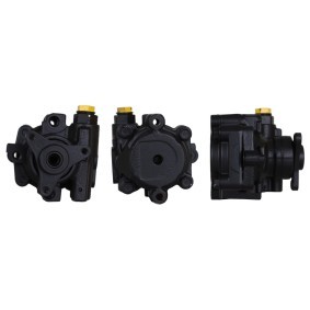 Servopumpe 715521677 von DRI günstig für 200,40 € online kaufen