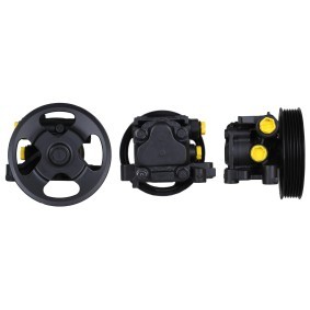 Acquista Pompa idraulica, sterzo da DRI 715521698 a buon mercato per soli 250,86 €