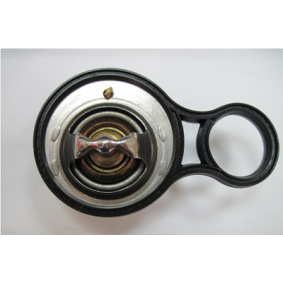 Kühlwasserthermostat von MOTORAD
