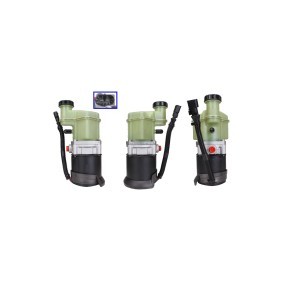 Servopumpe 719520242 von DRI günstig für 266,88 € online kaufen