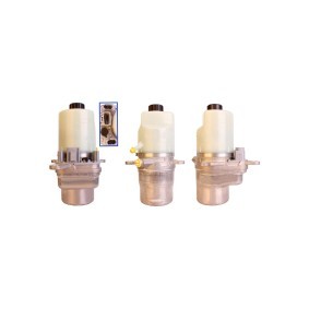 Servopumpe 719520344 von DRI günstig für 314,61 € online kaufen