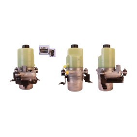 Servopumpe für FORD von DRI