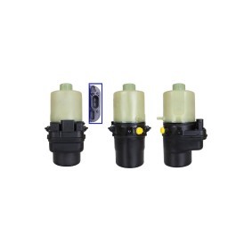 Servopumpe von DRI günstig für 299,51 €