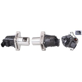 Compre Válvula EGR de ELSTOCK online para Astra Mk VII (K) Familiar (B16) a precios moderados