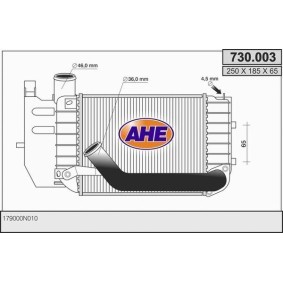 Köp Intercooler av AHE 730.003 till det låga priset 2560,02 kr