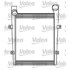 Achetez des Radiateur du moteur VALEO 731420 à prix pour 32,54 €