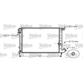 Achetez des Radiateur du moteur VALEO 731752 à prix pour 92,25 €