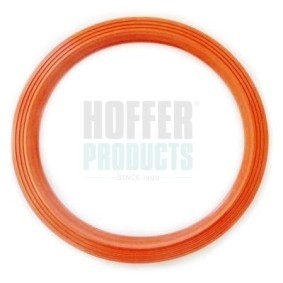 Compre Junta, sensor de nível de combustível da HOFFER 750GSK09 a um preço baixo por 20,59 €