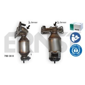 Compre Catalisador da ERNST 780308 a um preço baixo por 777,43 €