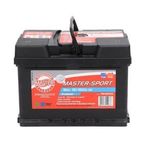 Batterie 780615501