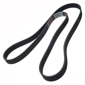 Keilrippenriemen von MASTER-SPORT für Defender Pickup (L316) günstig online kaufen