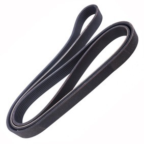 Keilrippenriemen von MASTER-SPORT für Defender Pickup (L316) günstig online kaufen