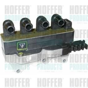 Achetez des Bobine d'allumage HOFFER 8010303 à prix pour 59,51 €