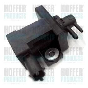 Acquista Convertitore pressione, Turbocompressore da HOFFER 8029364 a buon mercato per soli 86,68 €