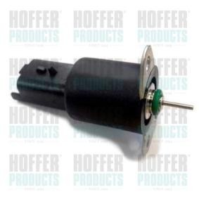 Achetez des Dispositif d'arrêt, système d'injection HOFFER 8029408 à prix pour 228,16 €