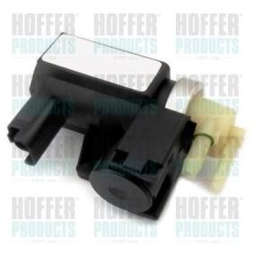 Compre Conversor de pressão, turbocompressor da HOFFER 8029531 a um preço baixo por 79,03 €