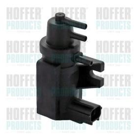 Acquista Convertitore pressione, Turbocompressore da HOFFER 8029536 a buon mercato per soli 83,42 €