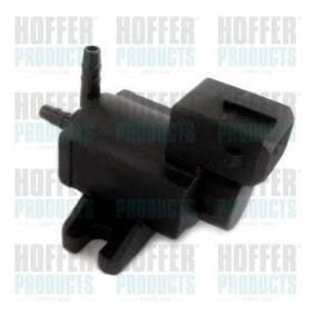Compre Transmissor de pressão da HOFFER 8029599 a um preço baixo por 75,97 €