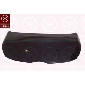 Motorhaube 8120280